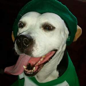 Fundraising Page: Luna Chubb PAC ALUM